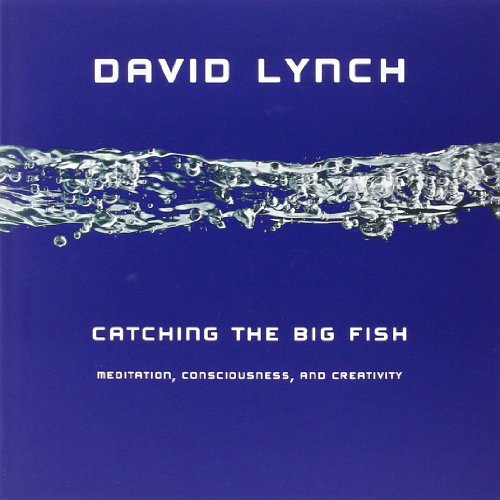 Catching the Big Fish: Meditation, Consciousness, and Creativity